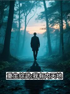综武之内天地