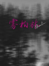 雾柏林