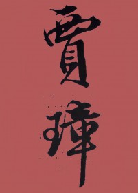 [红楼] 贾璋传